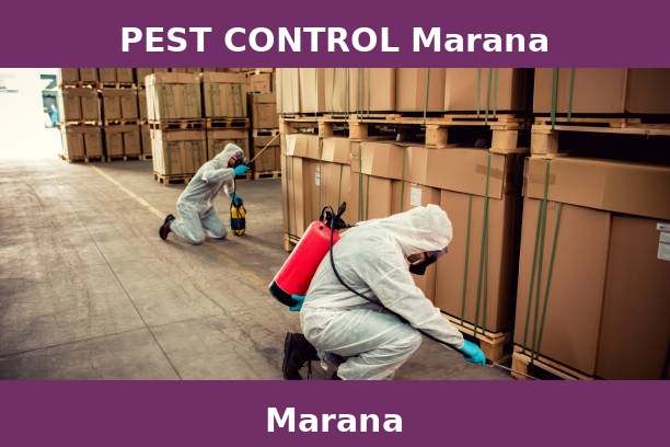 PEST CONTROL Marana